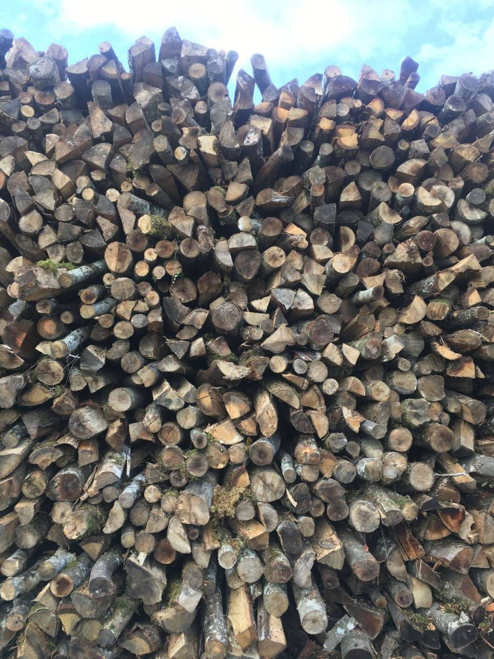 Bois de chauffage