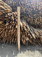 piquet acacia 1.80m