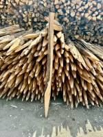 piquet acacia 1.60m
